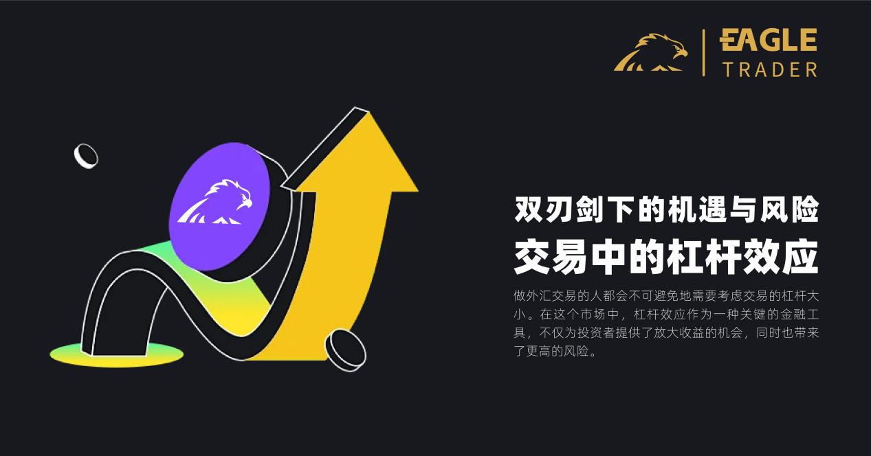 �㶫�������������app